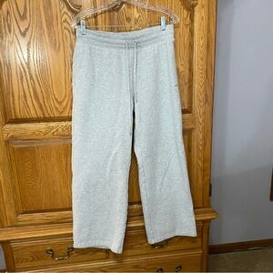Aritzia Sweatfleece Perfect Fit Cozy Fleece Banded Sweatpants Grey Women’s Sz M